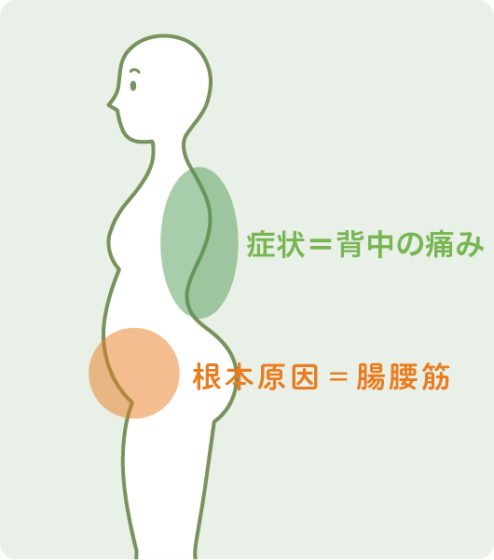 背中の痛みの原因と治療法|小石川整骨院|あきらめていた痛みを根本治療する整体|小伝馬町駅・春日駅すぐ